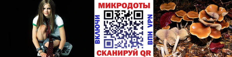 Галлюциногенные грибы Magic Shrooms  Купить закладки  Мытищи 